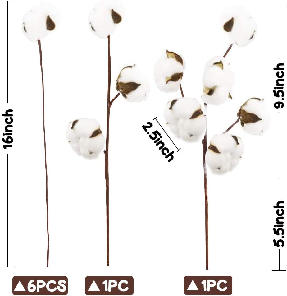 DomeStar Cotton Stems 8 Packs with 15 Bolls, Natural Dried Flowers Cotton Sprigs for Vase Fillers and Floral Arrangements - Fall Decorations and DIY Crafts