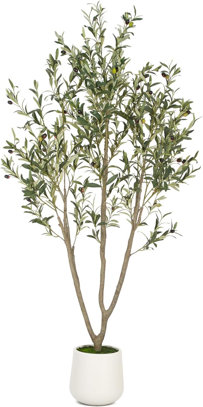 Olive Trees Artificial Indoor, 6FT Tall Faux Olive Tree with White Tall Planter, Artificial Plants with Natural Wood Trunk and Lifelike Fruits for Home Office Decor