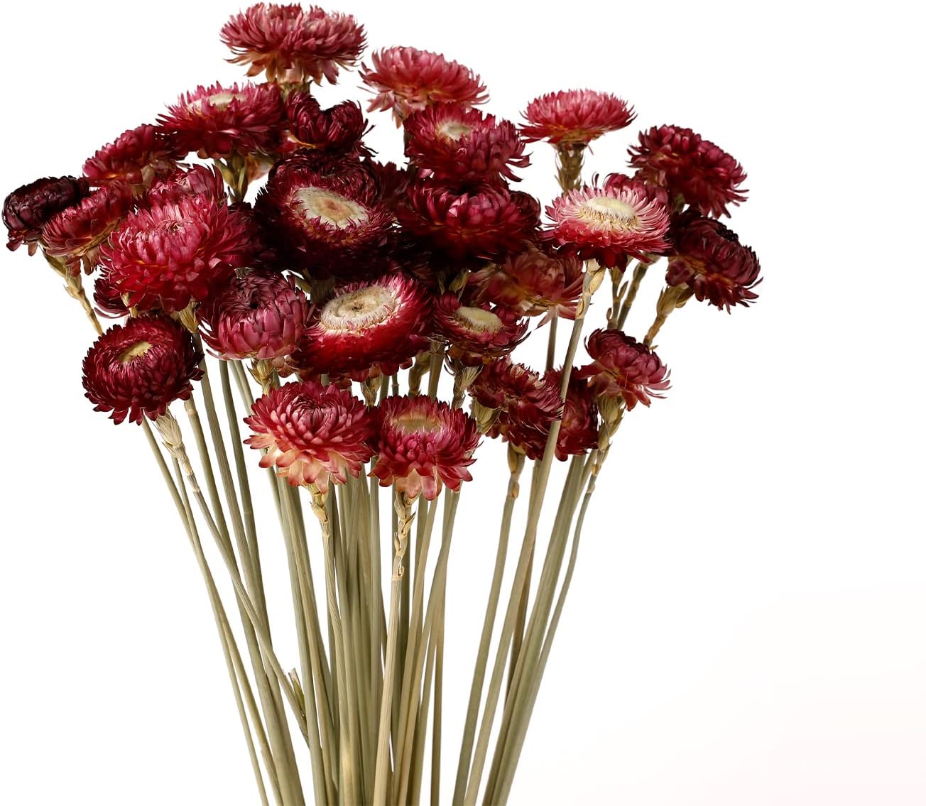 Dried Flower 40PCS Daisy Bouquet 100% Natural Chrysanthemum Dry Flower with Stem for Vase Home décor Party DIY Arrangement Wheat Straw Bulk (Burgundy)