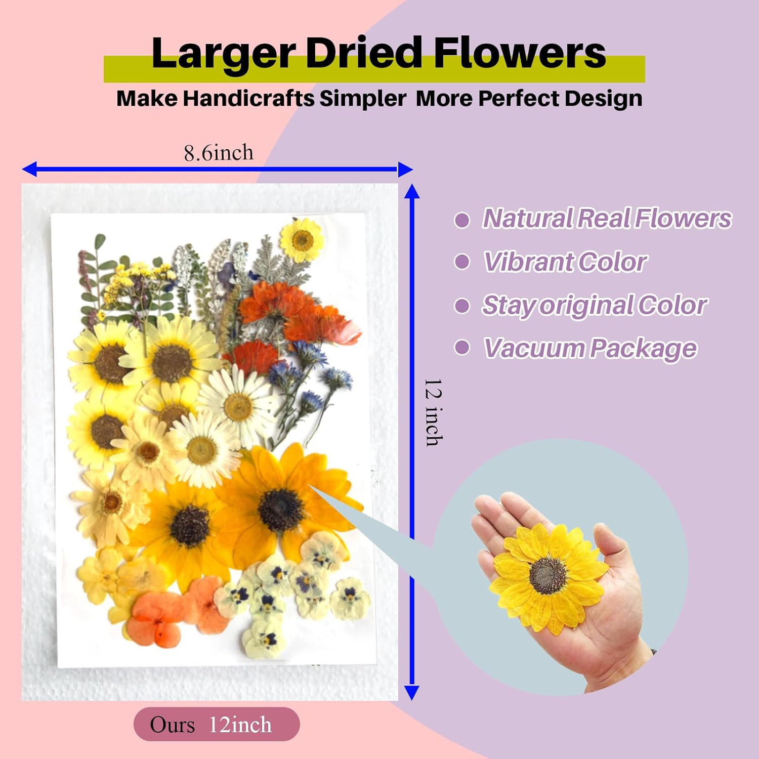 A4 Large Dried Pressed Flowers for Resin - Sunflower, Real Dry Natural Flowers & Leaves for Resin Mold, Cake, Candle Making, Phone Cases, Scrapbooking, DIY Art Crafts (Yellow)