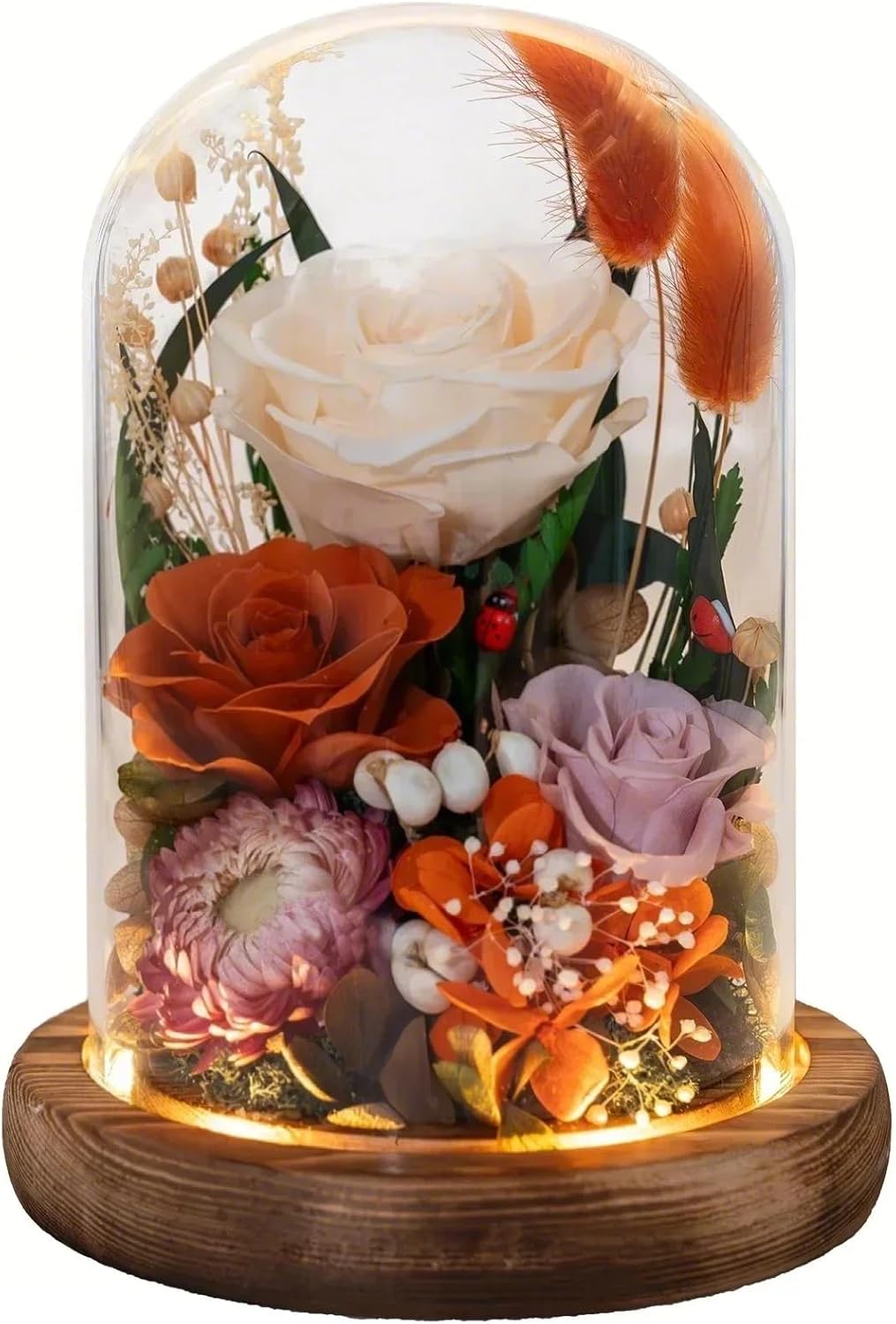 Forever Flowers with Symbolic Ladybugs: Preserved Flowers Gift for Women-Romantic Table Centerpiece-Valentines, Anniversary, Mom Gifts for Her-Flowers for Delivery Prime (Orange)