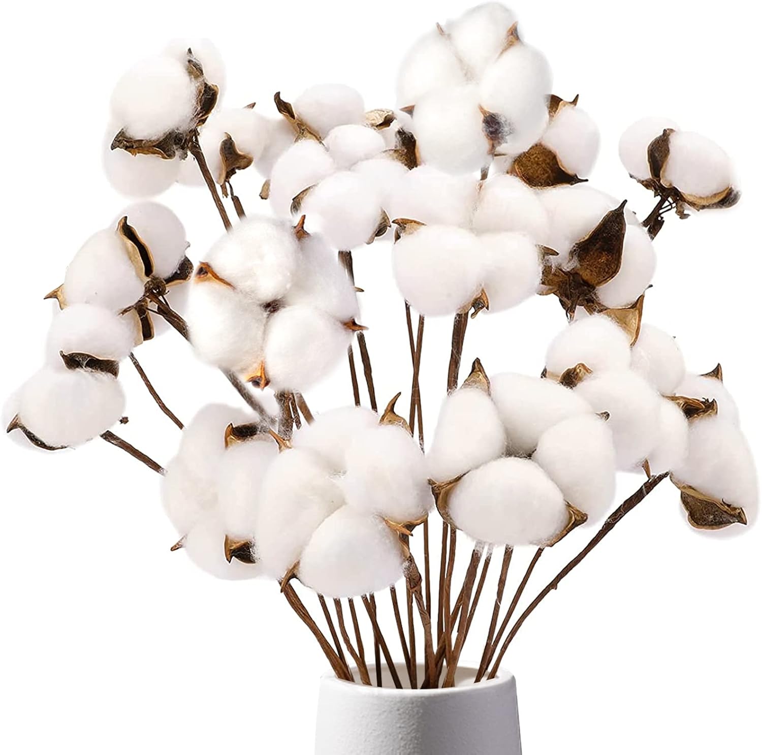 DomeStar Cotton Stems 8 Packs with 15 Bolls, Natural Dried Flowers Cotton Sprigs for Vase Fillers and Floral Arrangements - Fall Decorations and DIY Crafts