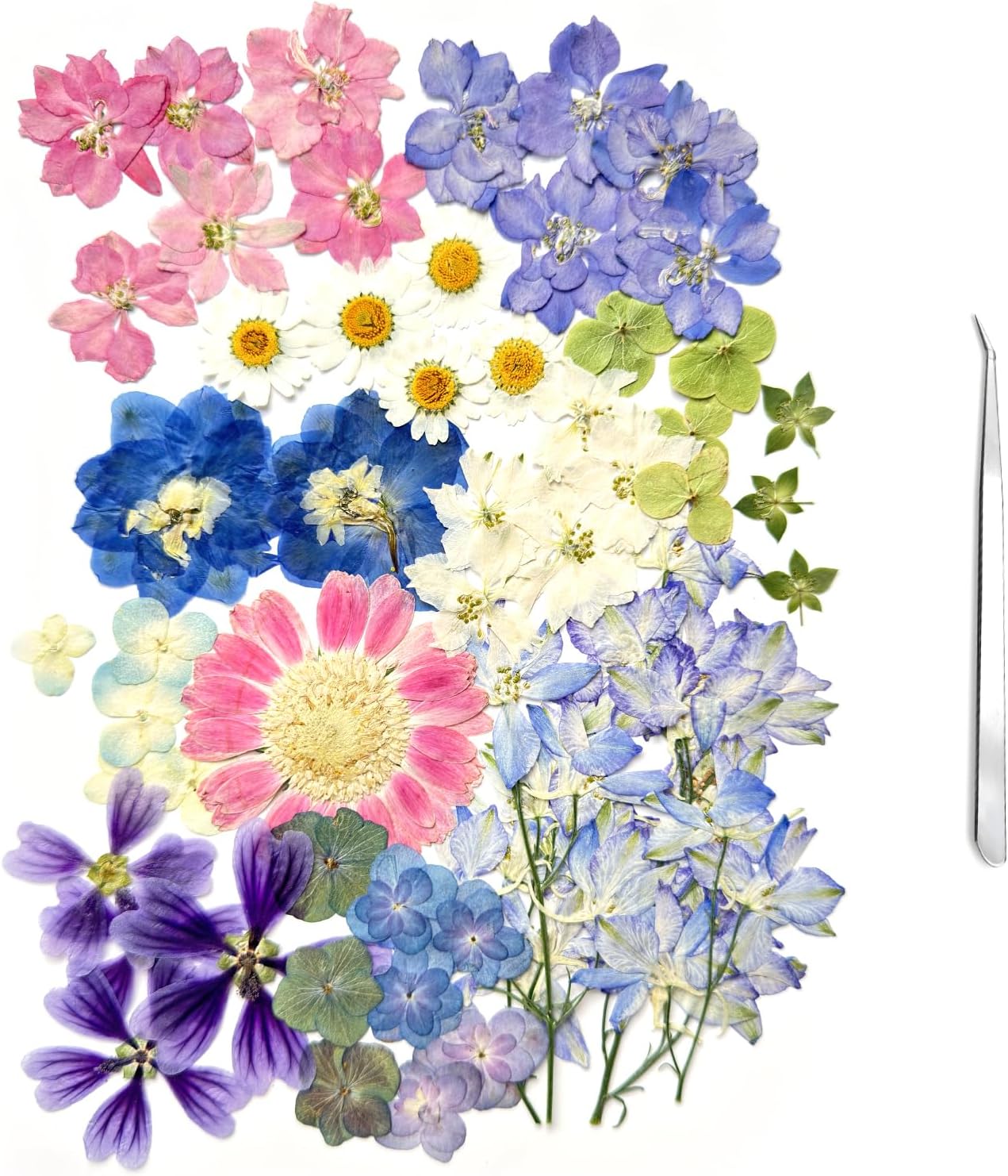 A4 Large Dried Pressed Flowers for Resin - Sunflower, Real Dry Natural Flowers & Leaves for Resin Mold, Cake, Candle Making, Phone Cases, Scrapbooking, DIY Art Crafts (Yellow)