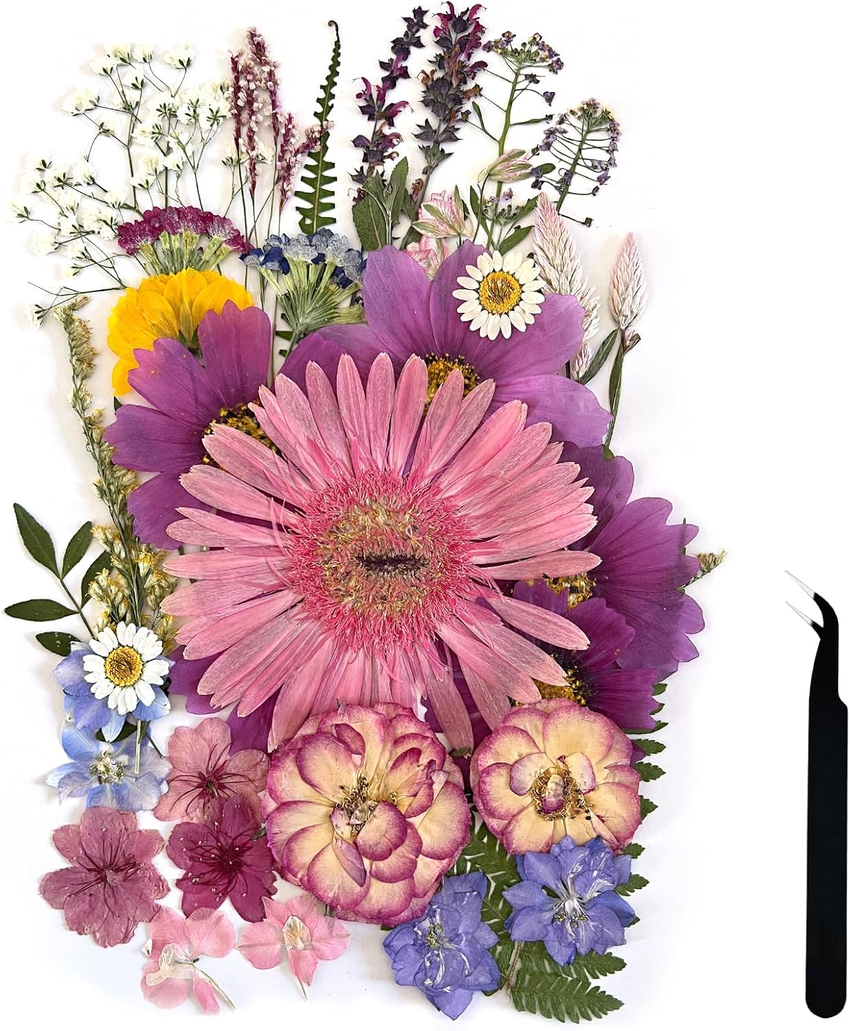 A4 Large Dried Pressed Flowers for Resin - Sunflower, Real Dry Natural Flowers & Leaves for Resin Mold, Cake, Candle Making, Phone Cases, Scrapbooking, DIY Art Crafts (Yellow)