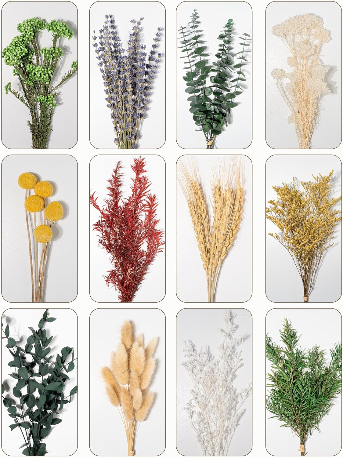 WILD AUTUMN 12 Kind Dried Flowers Set - Including Lavender, Eucalyptus, Wheat, Bunny Tails, Handmade for DIY Crafts, Vase Decor, Wedding/Home/Birthday/Seasonal Decor