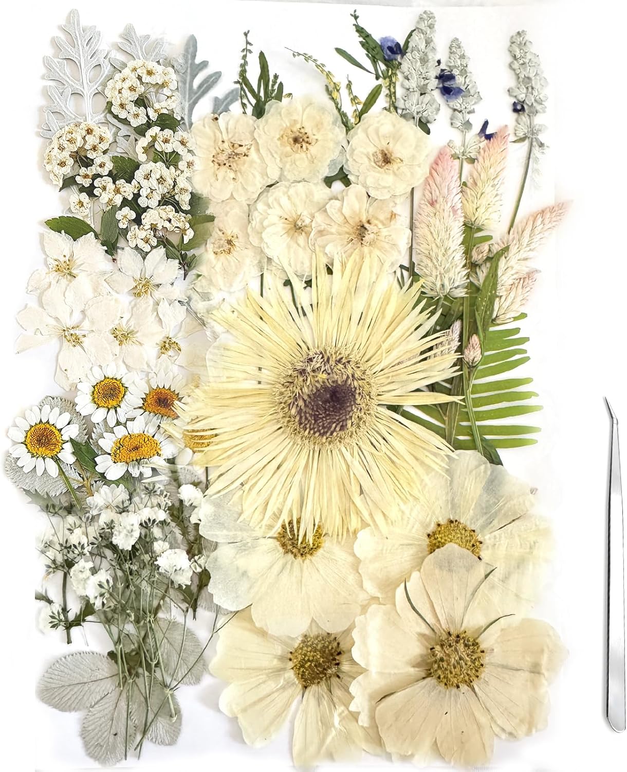 A4 Large Dried Pressed Flowers for Resin - Sunflower, Real Dry Natural Flowers & Leaves for Resin Mold, Cake, Candle Making, Phone Cases, Scrapbooking, DIY Art Crafts (Yellow)