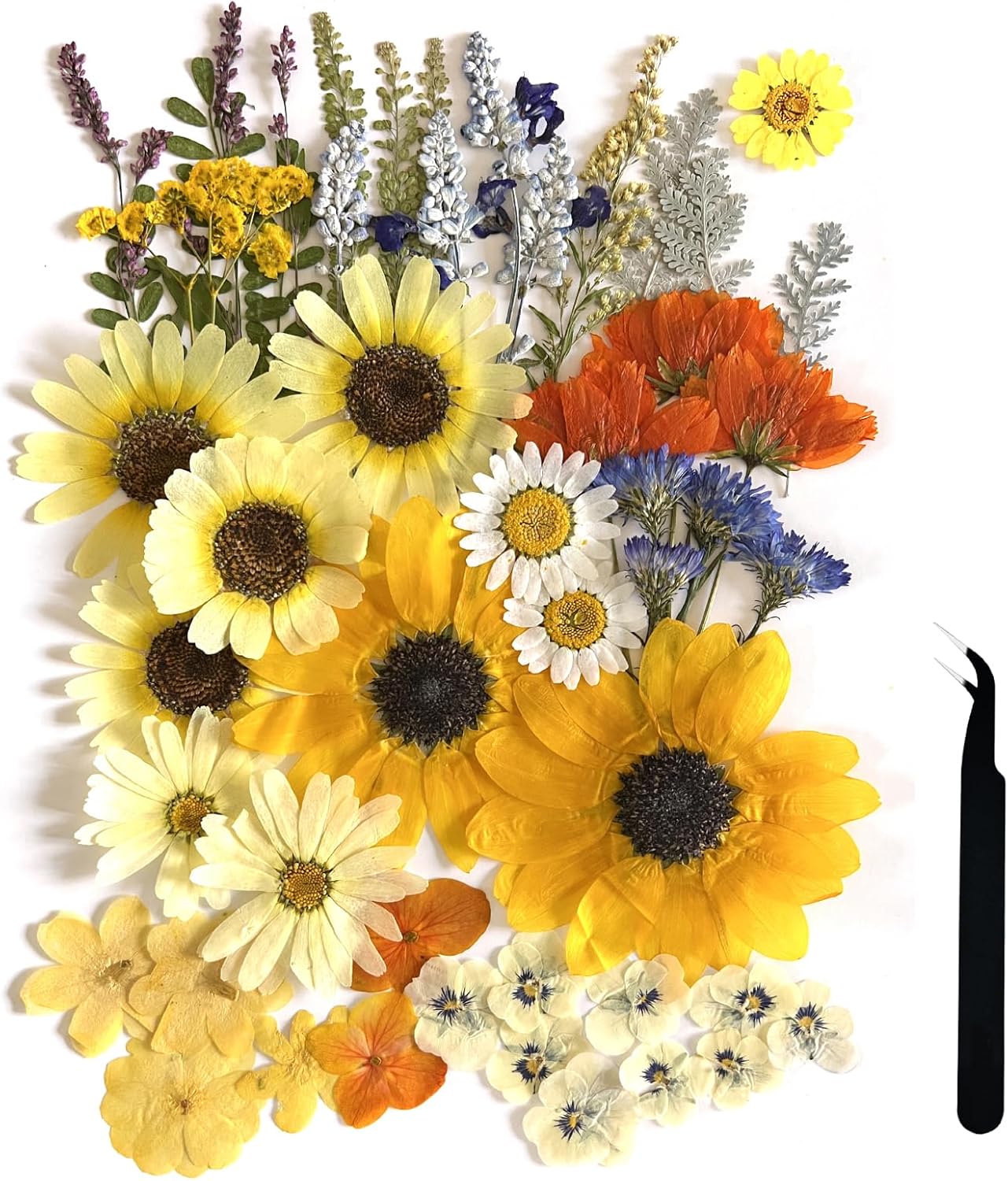 A4 Large Dried Pressed Flowers for Resin - Sunflower, Real Dry Natural Flowers & Leaves for Resin Mold, Cake, Candle Making, Phone Cases, Scrapbooking, DIY Art Crafts (Yellow)