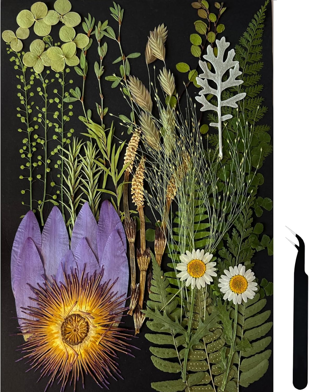 A4 Large Dried Pressed Flowers for Resin - Sunflower, Real Dry Natural Flowers & Leaves for Resin Mold, Cake, Candle Making, Phone Cases, Scrapbooking, DIY Art Crafts (Yellow)