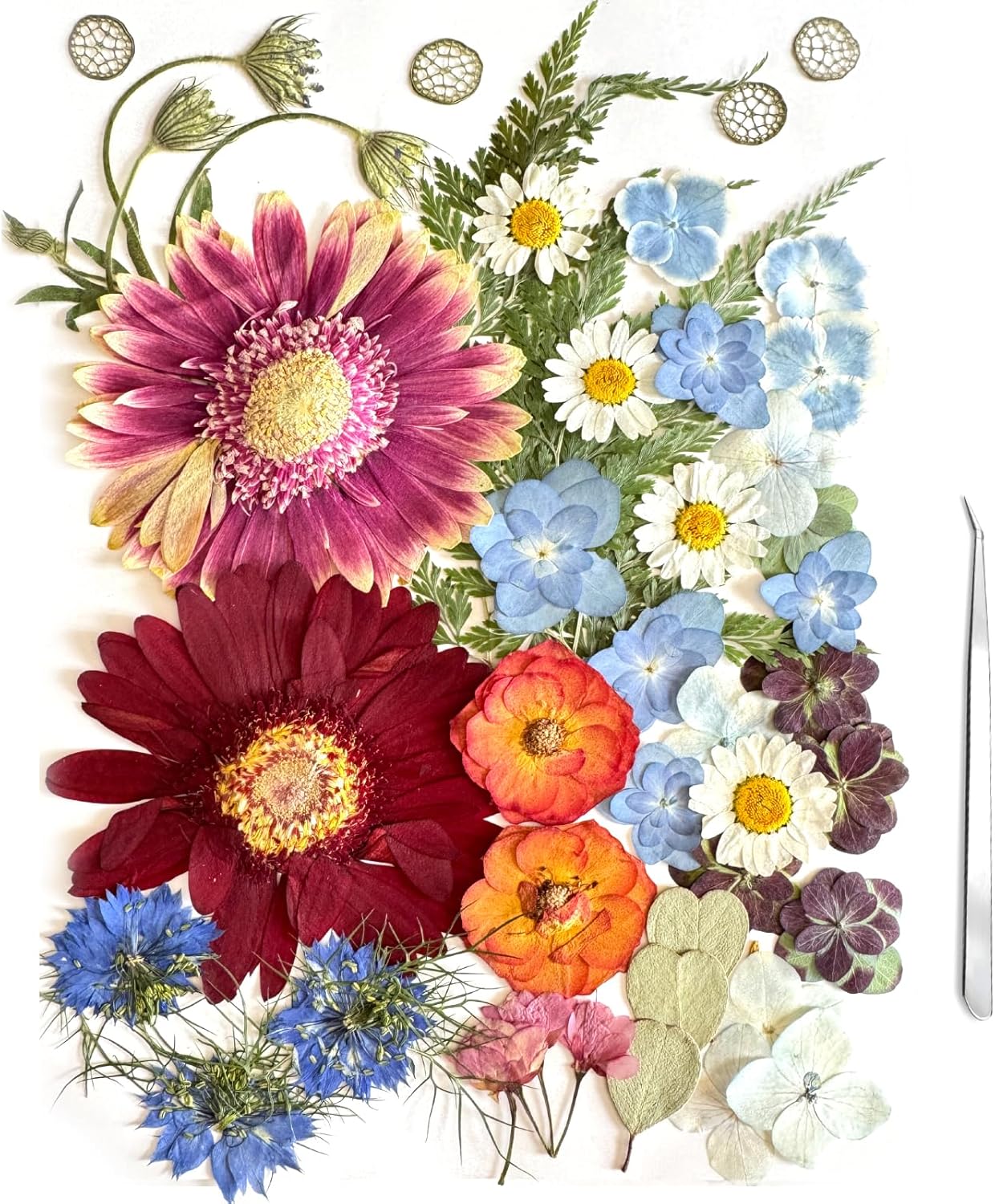 A4 Large Dried Pressed Flowers for Resin - Sunflower, Real Dry Natural Flowers & Leaves for Resin Mold, Cake, Candle Making, Phone Cases, Scrapbooking, DIY Art Crafts (Yellow)