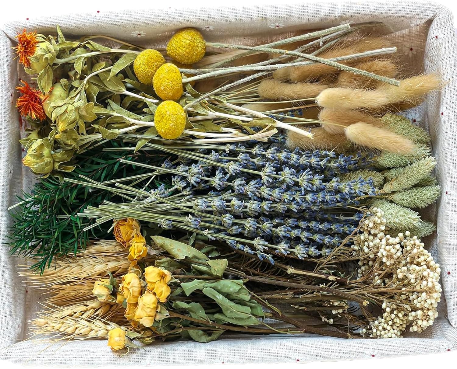 xin's convey DIY Natural Dried Flower Set, Bulk Dried Flowers for Vase, Dried Flowers with Stems, Dried Roses, Mini Dried Flower Bouquets.(Brown)