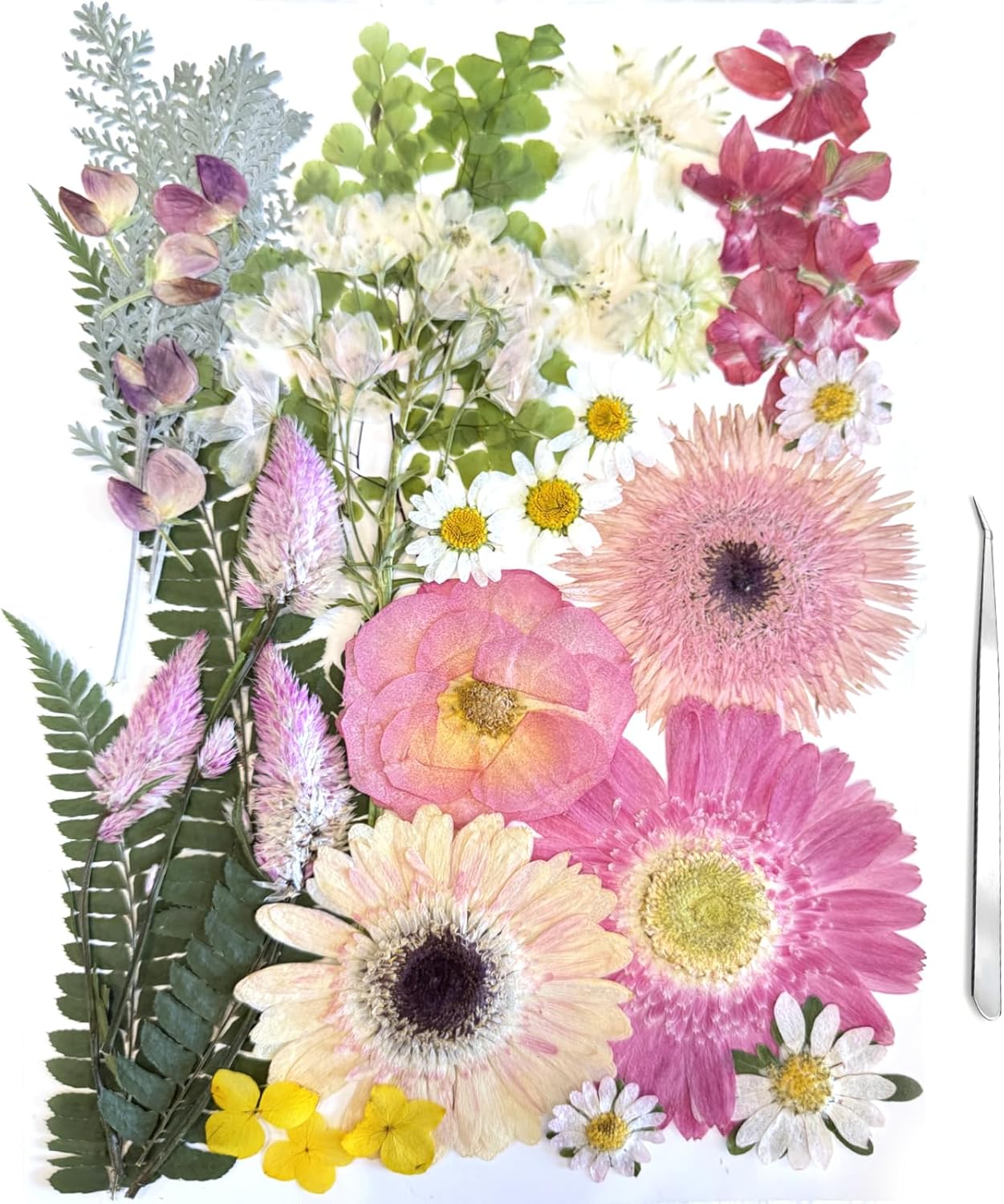 A4 Large Dried Pressed Flowers for Resin - Sunflower, Real Dry Natural Flowers & Leaves for Resin Mold, Cake, Candle Making, Phone Cases, Scrapbooking, DIY Art Crafts (Yellow)