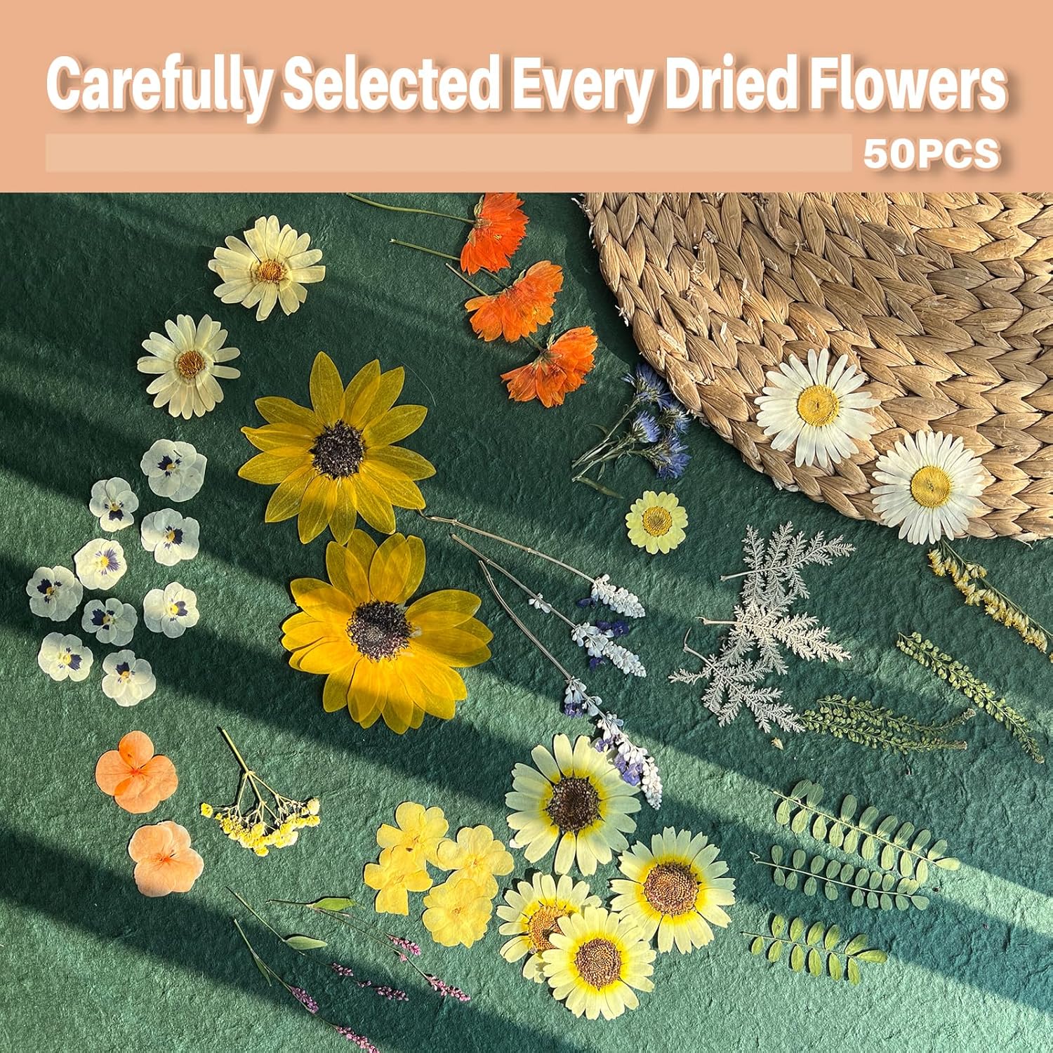 A4 Large Dried Pressed Flowers for Resin - Sunflower, Real Dry Natural Flowers & Leaves for Resin Mold, Cake, Candle Making, Phone Cases, Scrapbooking, DIY Art Crafts (Yellow)